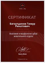 Багаутдинов Тимур Ринатович Сертификат
